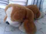 Peluche perrito -mysterious-